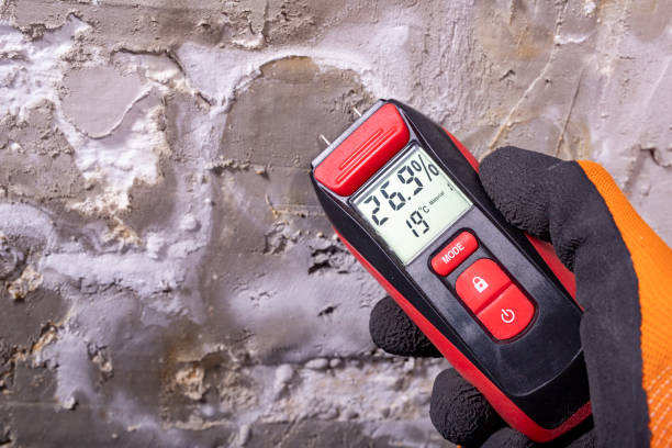 Mold Removal Process in Williamsville, NY